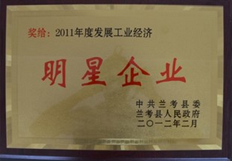 Star Enterprise Recognition of Industrial Economy Development